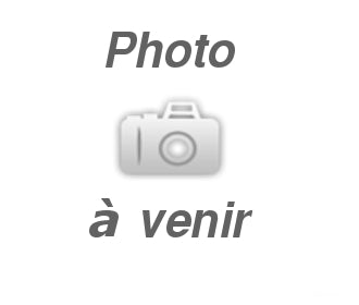 Fraisier